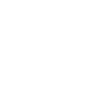 multiplier